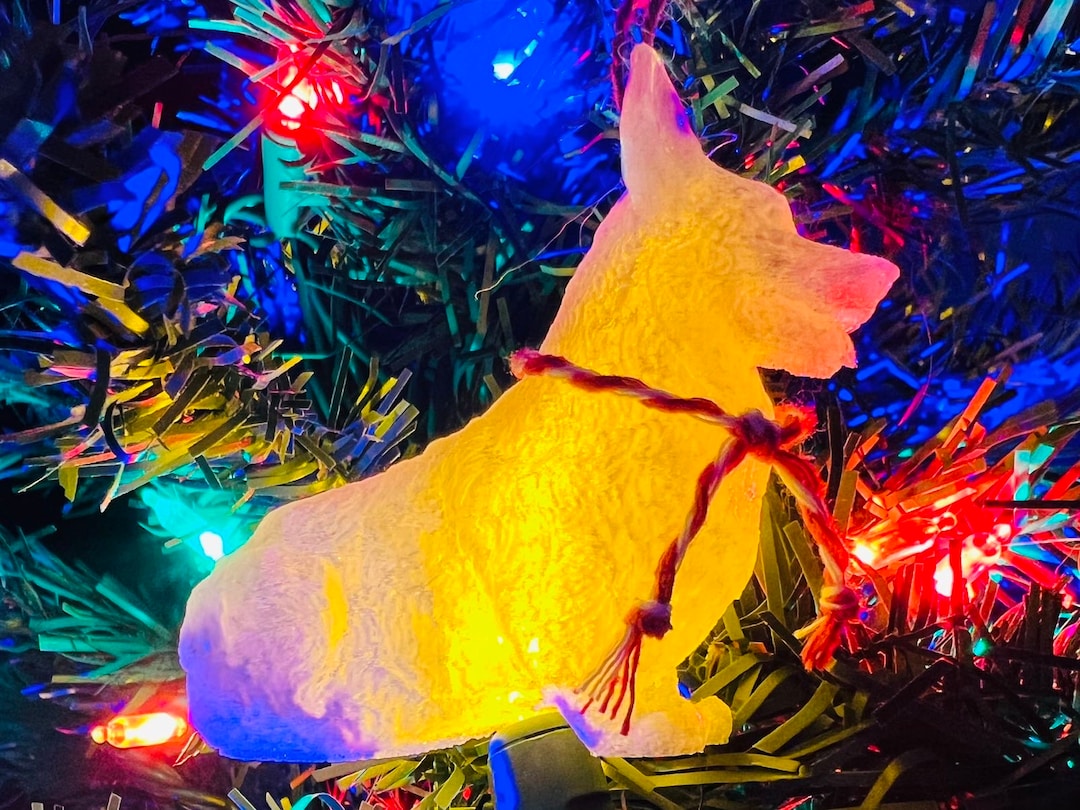 Pembroke Welsh Stocking Stuffer for Mom, Gifts for