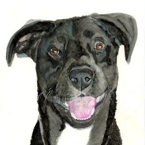 Custom pet portrait in watercolor, painting from photo, dog portraits, dog painting, Dog Art, Cat Art, Pet Loss Rainbow Bridge Memorial image 7