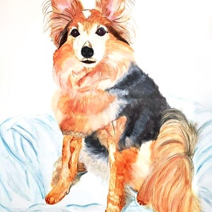 Custom pet portrait in watercolor, painting from photo, dog portraits, dog painting, Dog Art, Cat Art, Pet Loss Rainbow Bridge Memorial image 9