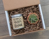 If I Didn 39 t Have You as my Mother I 39 d Choose You as My Friend Soy Candle Air Plant Succulent Mother 39 s Day Gift Send Mom Gift Mom