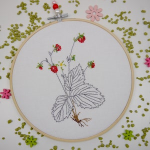 Embroidery ring Strawberry time cross-stitch after Ch. Dahlbeck D 19 cm window decoration embroidery frame picture image 2