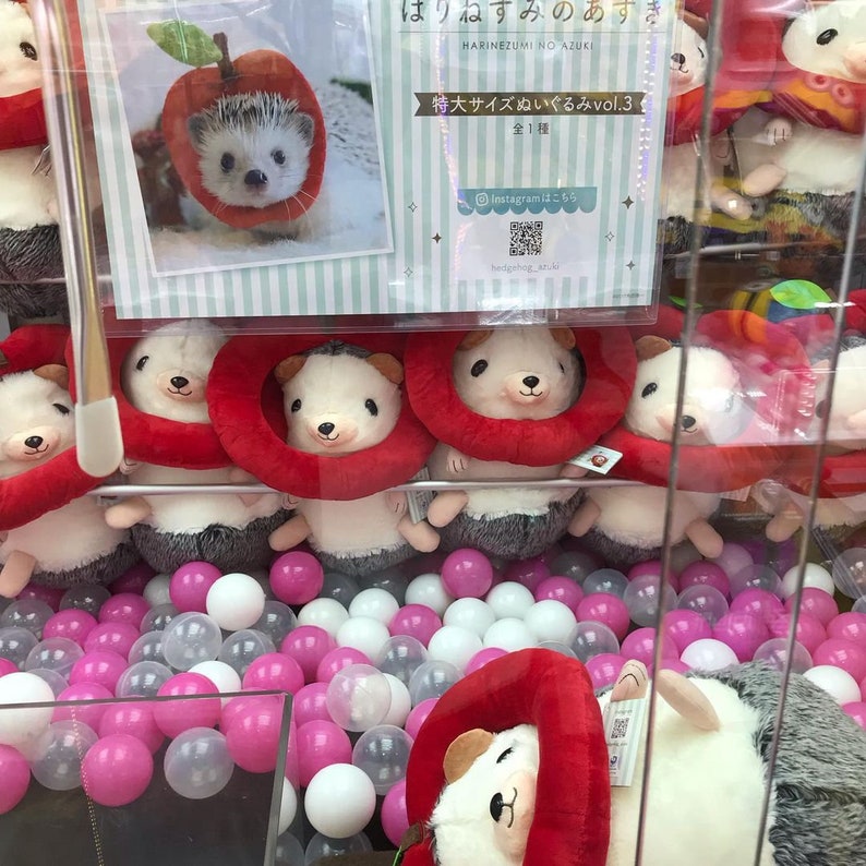 Japan Taito Hedgehog Azuki Big Plush Toy 40cm | Etsy