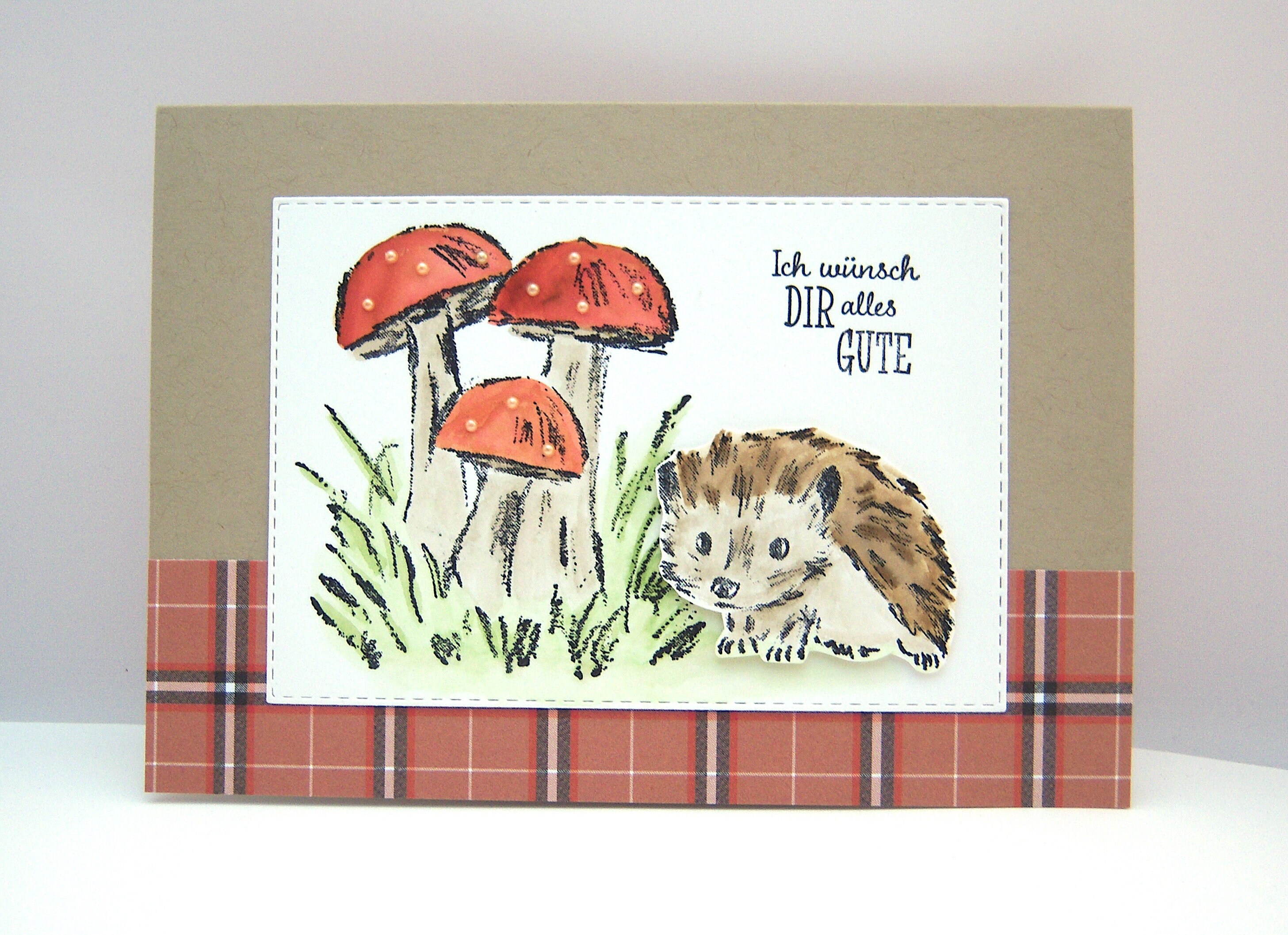Karte zum Geburtstag Pilze und Igel Geburtstagskarte Grüße