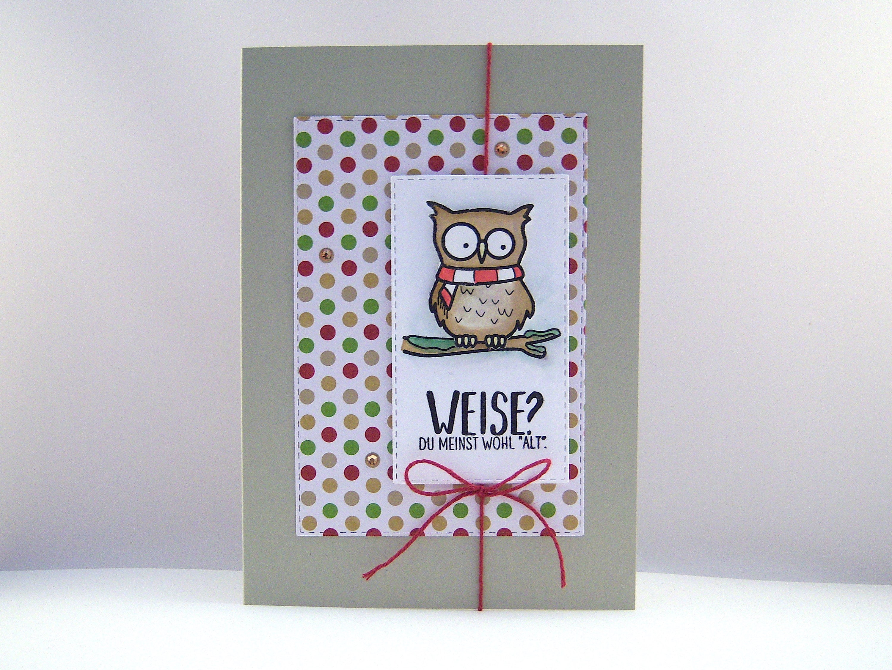 Wee Blue Coo Geburtstagskarte ‚Niedliche Weise Eule‘, 12,5x17,5 Cm – Karikatur-Design, Mit Umschlag