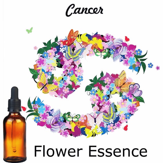 Cancer Flower Essence Etsy