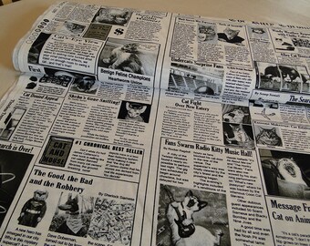 Cats News Timeless