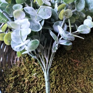 Eucalyptuszweige Floristik Blumen Kunstblumen Bild 2