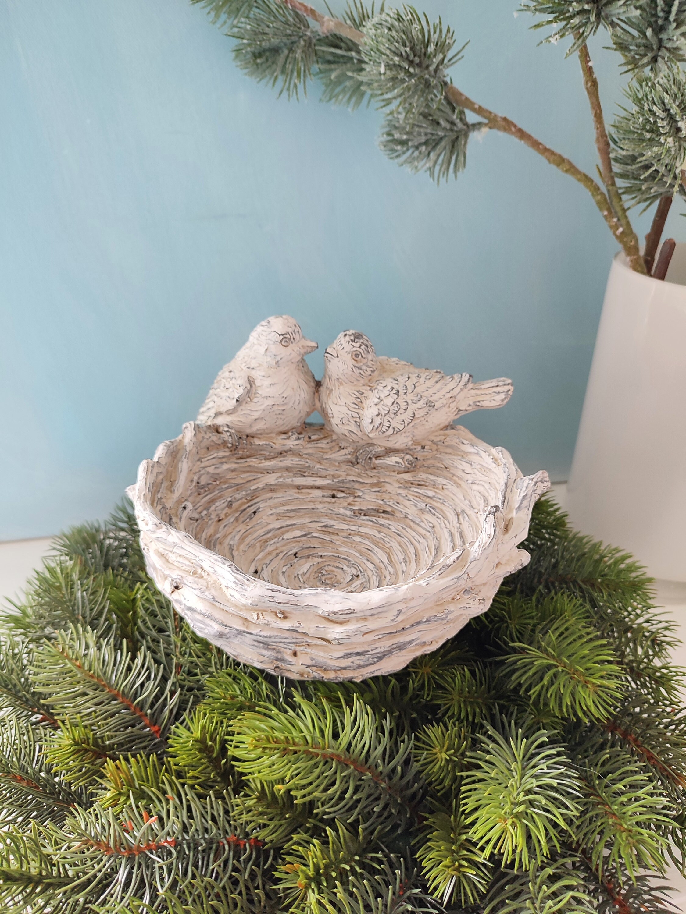bird nest feeding bowl birds