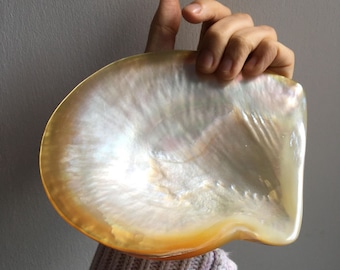 Hand Carved Mother of Pearl Dish | Jewelry, Caviar Serving Tray (6 x 5.5")