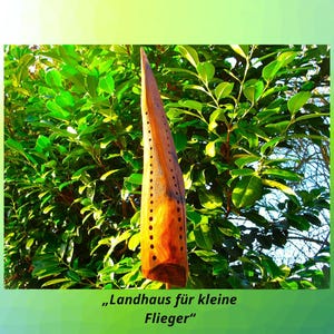 Plantenondersteuning met geïntegreerd insectenhotel, wilde bijenhuis, insectenhuis voor perken en containers, duurzame tuindecoratie, hulpmiddel voor bijen