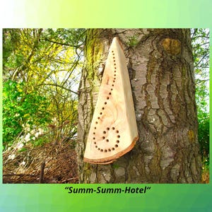 Può includere: Un hotel per api in legno a forma triangolare, fissato a un tronco d'albero. Presenta fori praticati e un motivo decorativo. Il testo "Summ-Summ-Hotel" è visibile in basso nell'immagine, su uno sfondo di vegetazione.