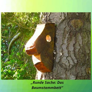 Può includere: Una casetta per uccelli in legno a forma di naso è montata su un tronco d'albero. Presenta un foro d'ingresso rotondo e piccoli fori sottostanti. La corteccia dell'albero è marrone e strutturata. Il testo in basso recita "Runde Sache: Das Baumstammbett".