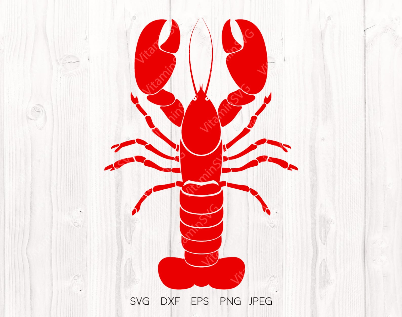 etsy mardi gras svg