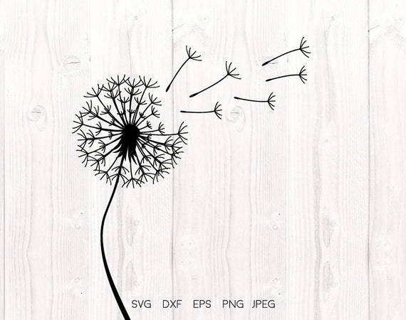 Dandelion Svg Dandelion Flower Svg Cricut Downloads Etsy