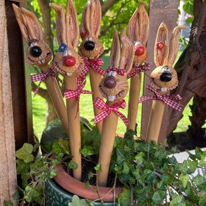 Può includere: Una collezione di stravaganti picchetti da giardino a forma di coniglietto marrone con nasi rossi, occhi neri e fiocchi a scacchi rossi e bianchi. I picchetti a forma di coniglietto sono piantati in un vaso verde con edera.