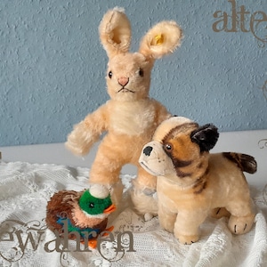 Può includere: Una collezione di giocattoli di peluche vintage, tra cui un coniglio marrone in piedi con lunghe orecchie, un bulldog con pelliccia marrone e marrone chiaro e un'anatra piccola con testa verde e zampe arancioni. I giocattoli sono esposti su una superficie di pizzo bianco.