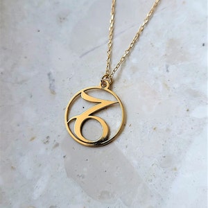 Capricorn Zodiac sign necklace- sterling silver plated gold 24k