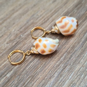 CARAMEL SEASHELLS  unique earrings sterling silver 24K gold plated