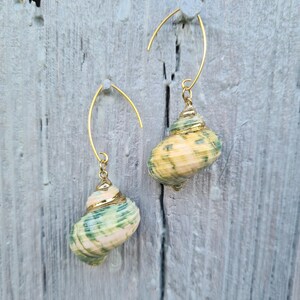 TURQUOISE SEASHELLS  unique earrings sterling silver 24K gold plated