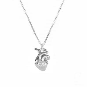 HUMAN HEART necklace, anatomical heart pendant -sterling silver