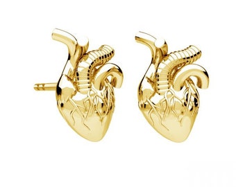 HUMAN HEARTS Anatomical Earrings, Sterling Silver, 24K Gold, Rose