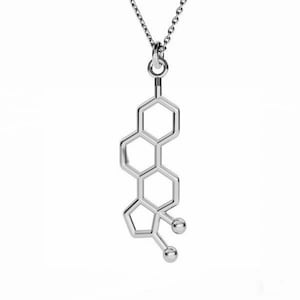 OESTROGEN- Necklace, Chemistry Collection, Molecular pendant, Hormones Necklace