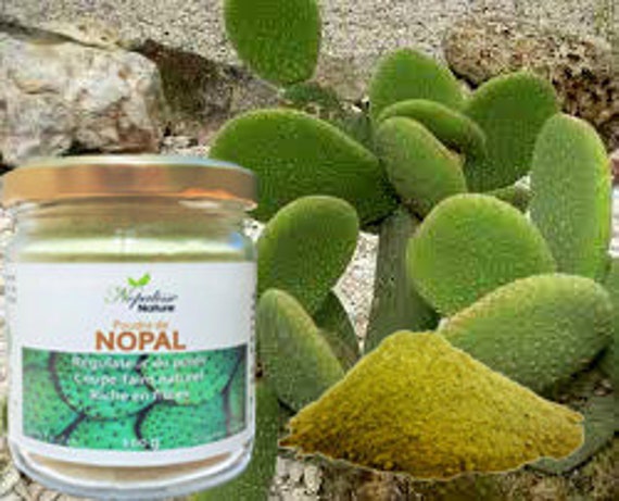 Wie der Nopal beim Abnehmen hilft