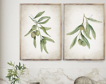 Aquarelle Olive Branche Wall Decor Minimalist Painting Green Olives Botanical Print Poster Plant Leaf Leaves Kitchen Art Decor Illustration