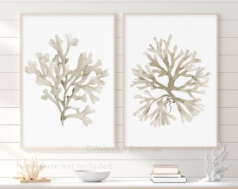 Coral Art Print, Taupe Beige Gray Art Print, Set of 2 Prints, Botanical Art, Nautical Wall Decor, Coastal Art, Modern Beach House Sea Fern