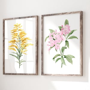 Goldenrod and Mountain Laurel Prints – Set of 2 Watercolor Art, Minimalistic Wall Decor for a Couple, Farmhouse Wall Decor