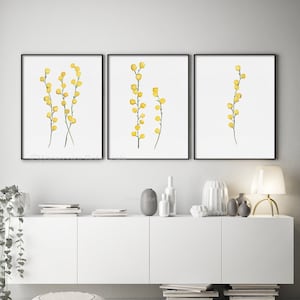 Acquerello giallo, ramo di mimosa dolce, fiori di alberi tropicali, arte astratta gialla, set di 3 stampe, stampe botaniche minimaliste