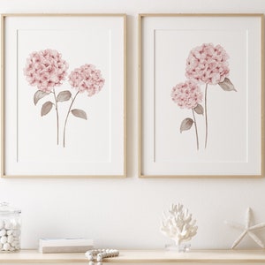 Deux hortensias roses pâles, lot de 2 impressions, dessin, art mural floral