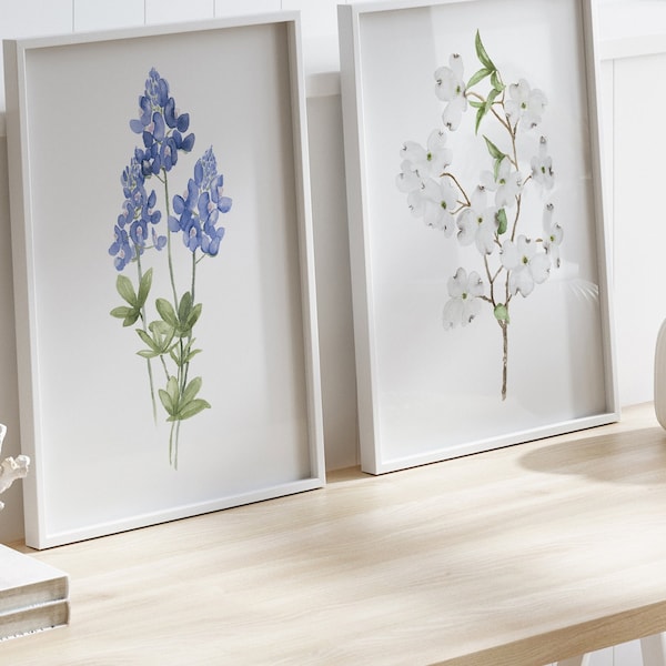 Cornouiller et bonnet bleu - Lot de 2 gravures - Art floral aquarelle - Cadeau personnalisé