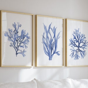 Veri Peri Corals – Arte costiera ad acquerello / Alghe minimaliste e decorazioni murali botaniche