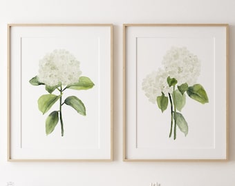 Aquarell große Blumen, weiße Hydrangea Annabelle Gemälde, minimalistisches Wanddekor, königliche Blumenkunst, 2er-Set Drucke