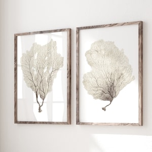 Taupe Korallen – 2 Korallen Illustrationen im Set – Neutrale minimalistische Wandkunst – Küsten Dekor – Hochwertiges Poster