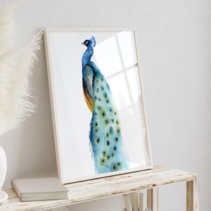 Aquarel pauw schilderij, moderne abstracte vogelillustratie, minimalistische tekening, paradijsvogel, cadeau-idee, extra grote kunstposter