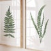 see more listings in the GREEN Botanical Prints section