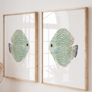 Dúo de peces disco de color verde salvia, juego de 2 impresiones, arte moderno de estilo rural costero para sala de estar y dormitorio, póster de arte minimalista, idea de regalo