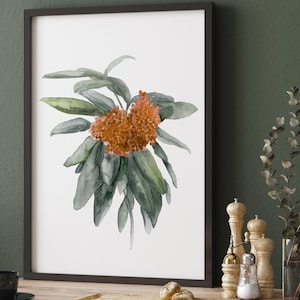 Ramo minimalista con acquerello di pianta di viburno, opera d'arte botanica moderna, immagine singola, arte murale autunnale, terra di Siena bruciata