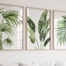 see more listings in the GREEN Botanical Prints section