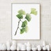 see more listings in the GREEN Botanical Prints section