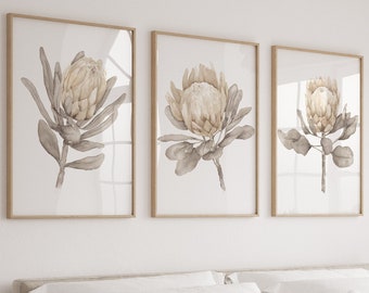 King Protea Watercolor Print, Beige Gray Minimalist Design, Set of 3 Prints, Large Flowers, Botanical Decor Floral Art, Neutral Artwork