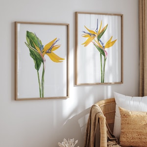 Stampe ad acquerello tropicali - Set di 2 / Uccello del paradiso, arte ad acquerello, decorazione da parete botanica esotica, stampe floreali moderne per casa e ufficio
