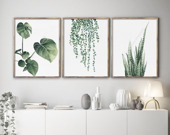 Monstera Deliciosa Sansevieria String of Pearls Tropical Green Leaves Set of 3 Prints Exotic Leaf Watercolor Modern Scandi Minimalist Nature