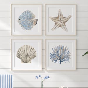 Könnte beinhalten: Ein Set aus vier quadratischen Wandbildern mit Aquarellillustrationen eines hellblauen Diskusfisches, eines beigen Seesterns, einer hellbraunen Jakobsmuschel und eines blauen Korallenzweigs, gerahmt in schlichten, hellen Holzrahmen.