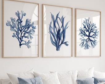 Set of 3 Prints, Coral & Seaweeds, Watercolor Minimalist Artwork, Botanical Print, Nautical Room Decor, Hand Painted Art, Beach House Decor