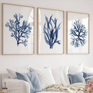 Lot de 3 estampes, corail et algues, oeuvre d'art minimaliste à l'aquarelle, impression botanique, décoration de chambre nautique, oeuvre d'art peinte à la main, décoration de maison de plage image 1