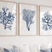 see more listings in the NAVY & BLUE Wall Decor section