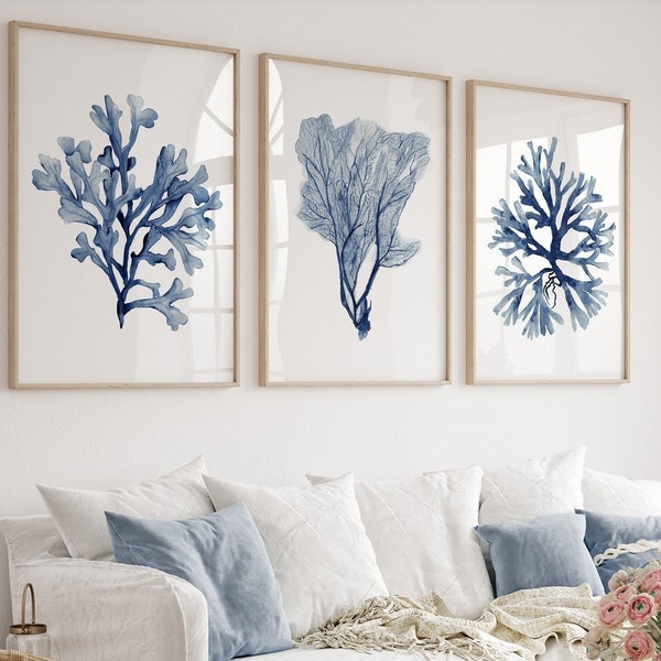 Algues corail, aquarelle bleu marine, lot de 3 impressions, oeuvre d'art minimaliste, impression botanique, décoration de chambre nautique, maison d'art sur la plage, impression de la nature